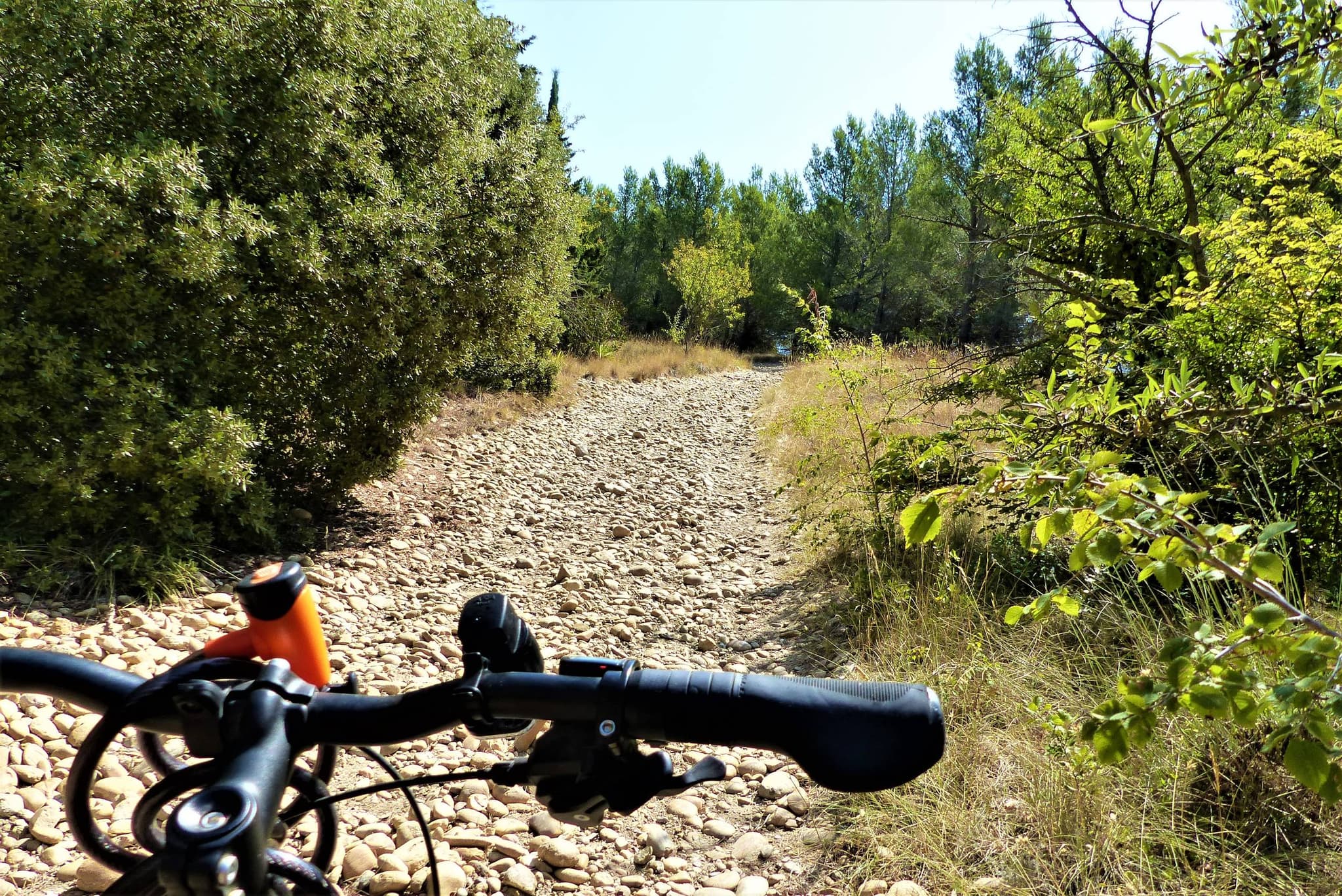 SAINT-RÉMY-DE-PROVENCE - La Routo : pèr draio e pèr camin à VTT
