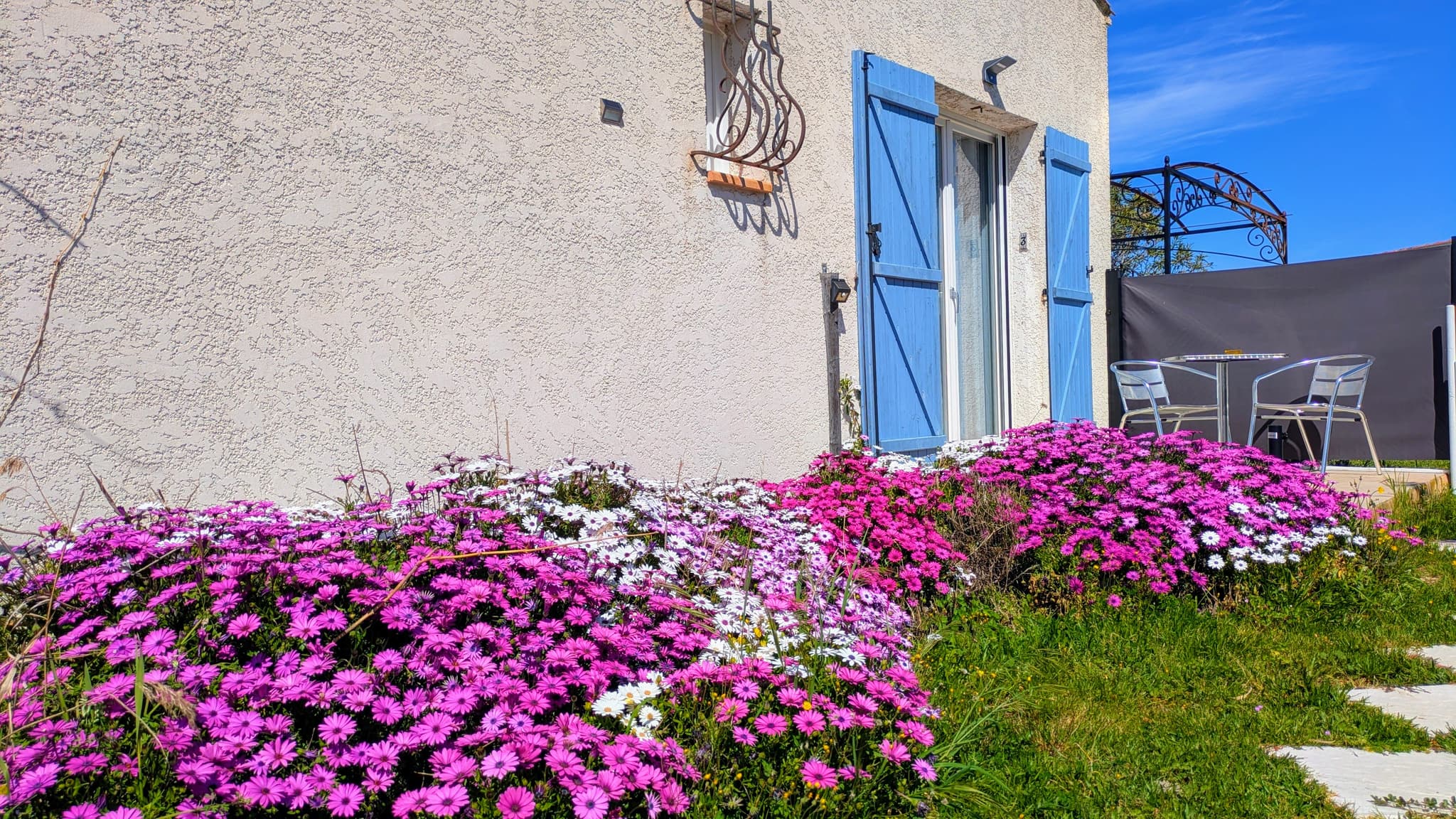 Les Geckos_Saintes-Maries-de-la-Mer