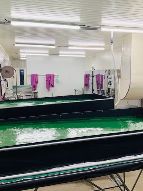 Laboratoire Spiruline