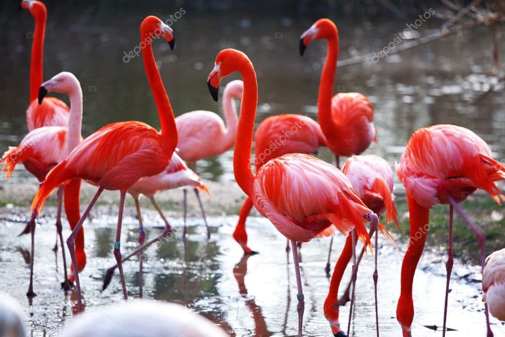 Couleurs Camargue