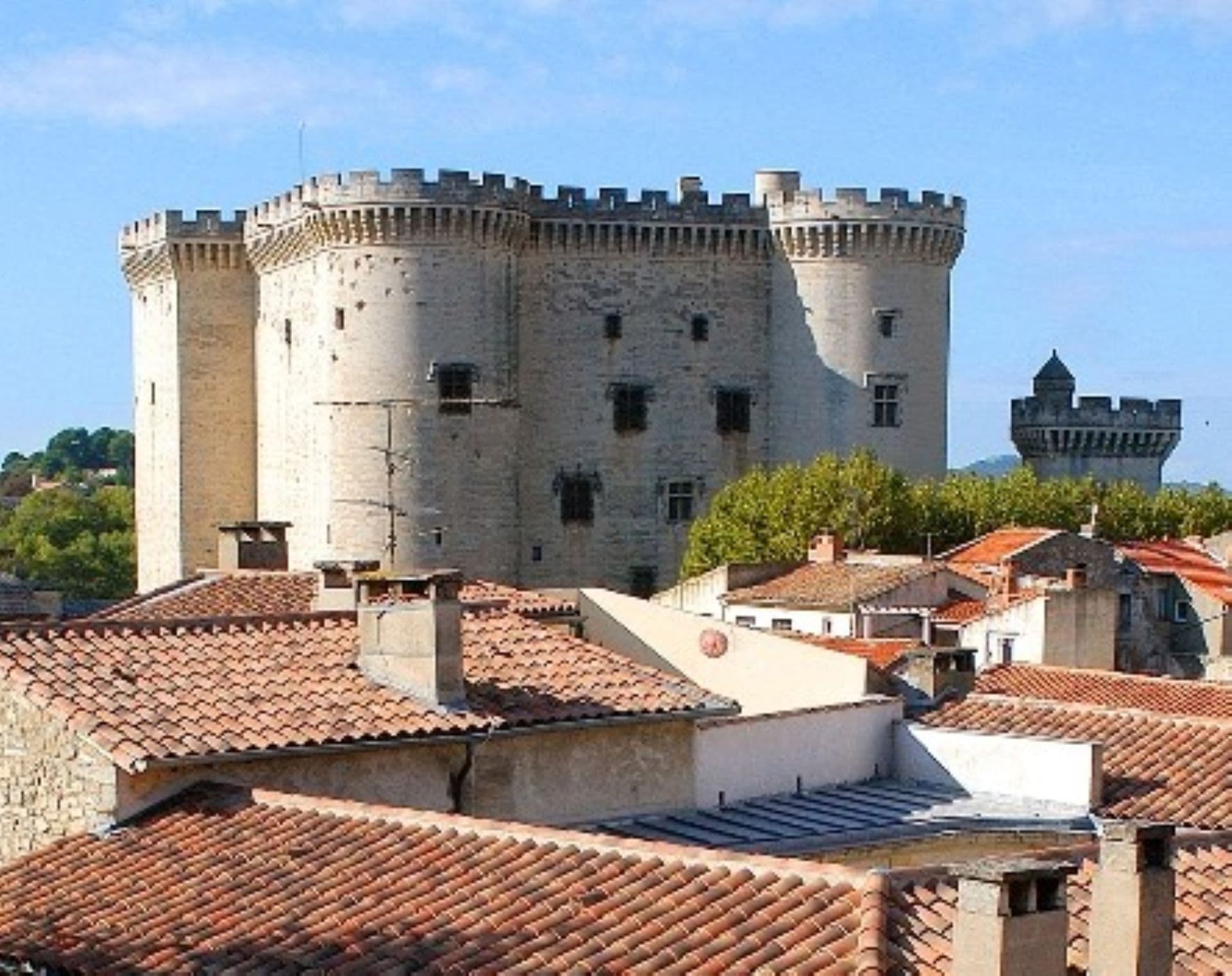 Visite - atelier "Mon Blason de Chevalier"_Tarascon