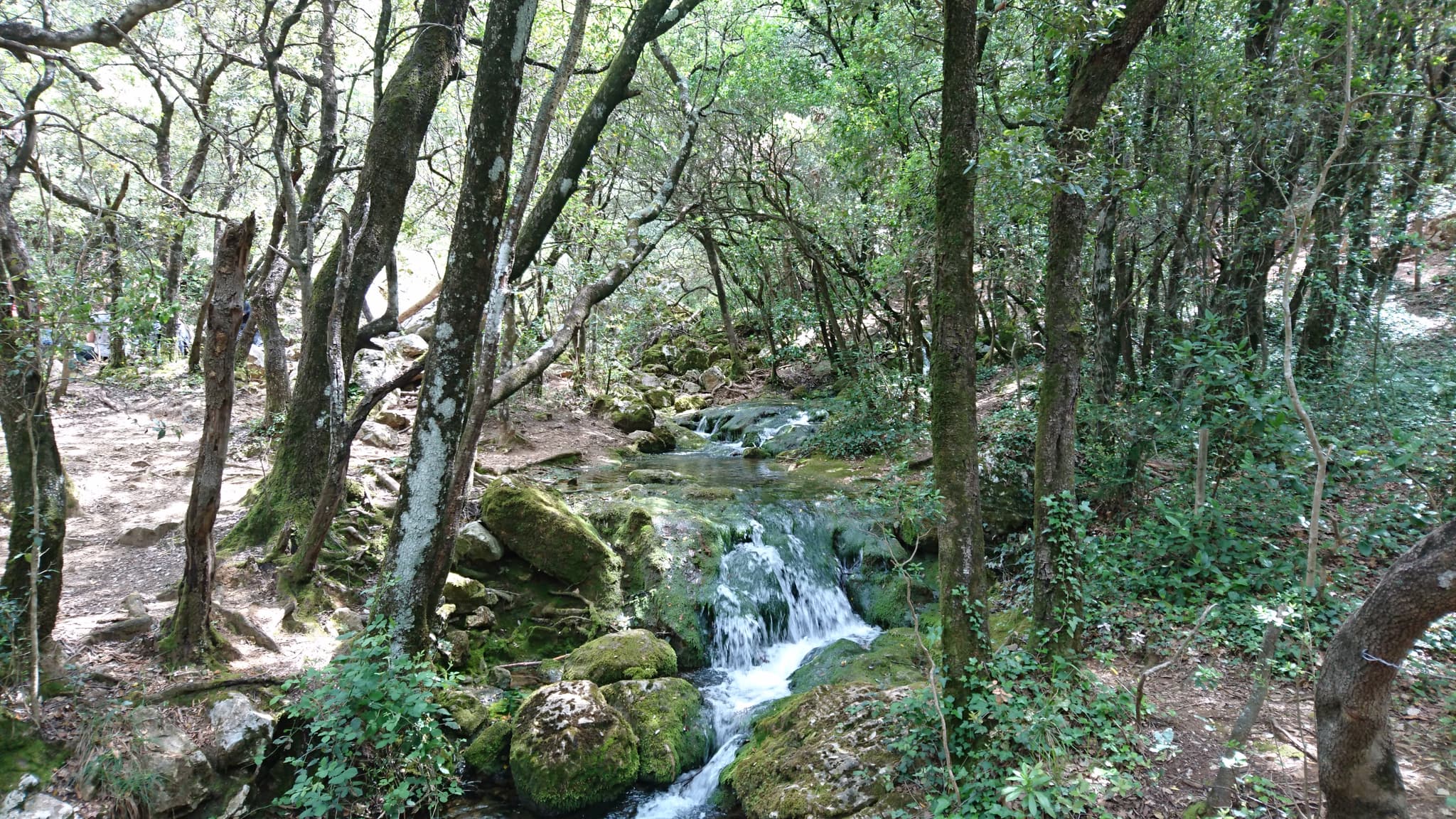 Source de l'Huveaune