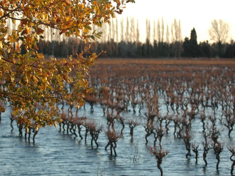 13T4002047_3_HD.jpg