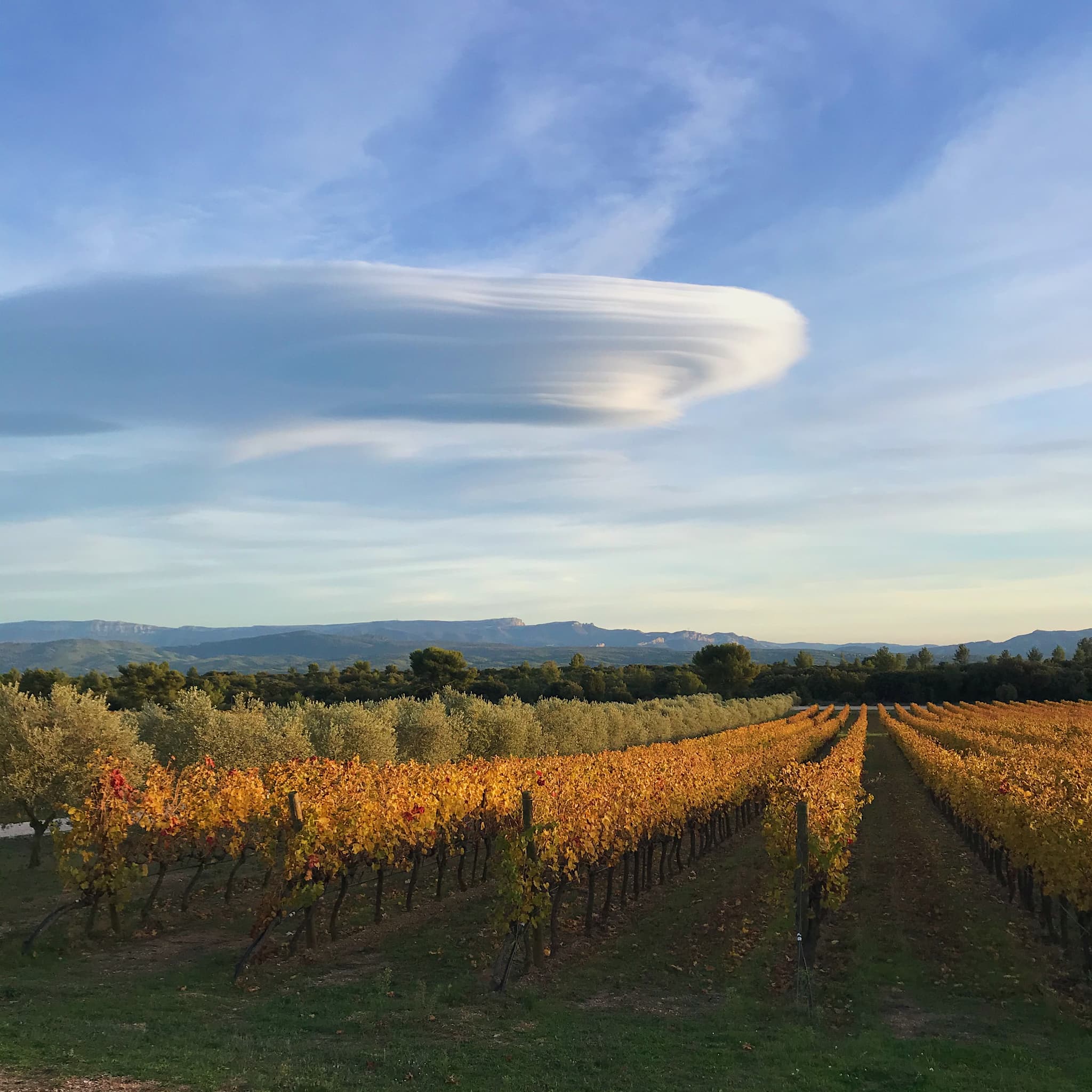 Domaine des Masques