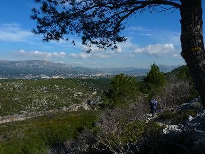 13VIS001063_2_WEB.jpg