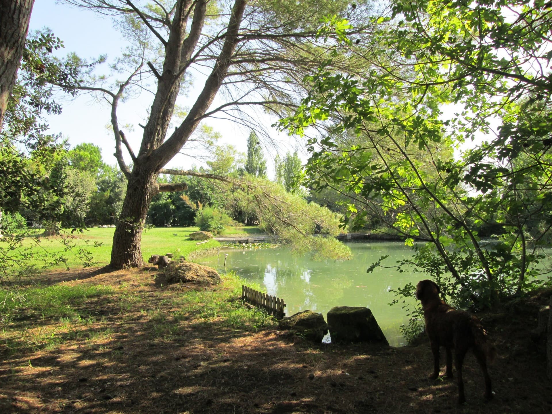 VUE PLAN D'EAU
