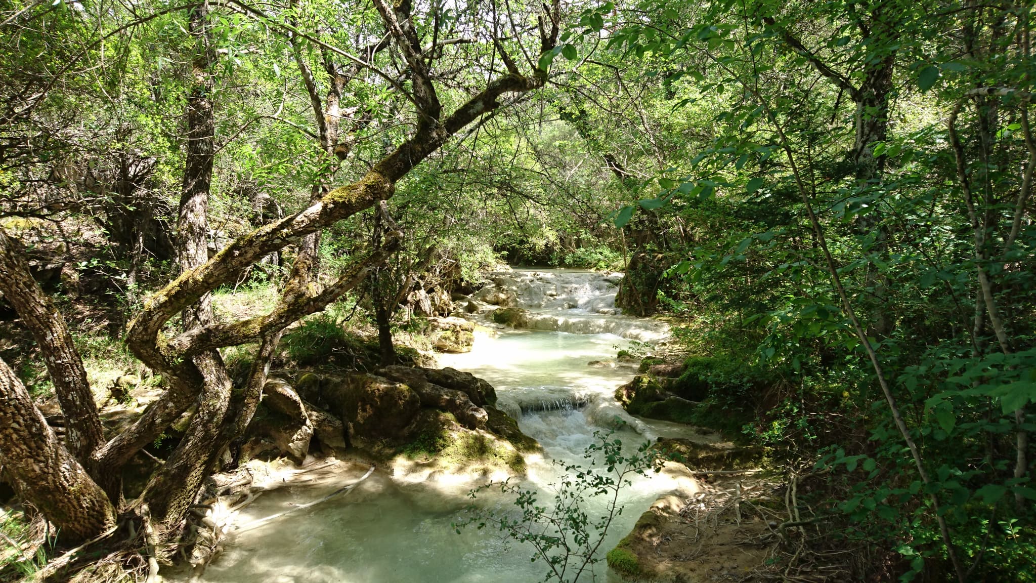 Source de l'Huveaune