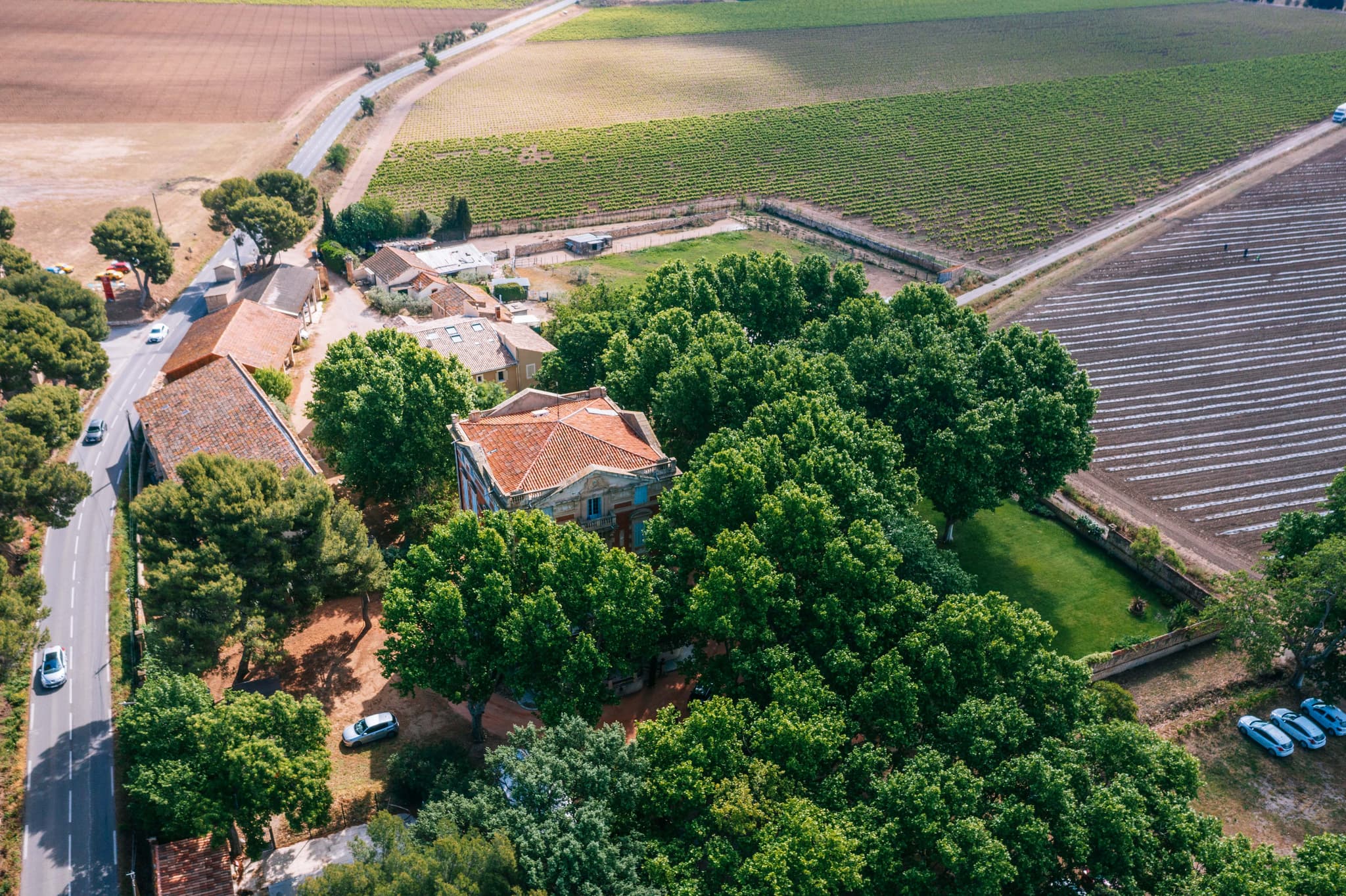 Château la Beaumetane