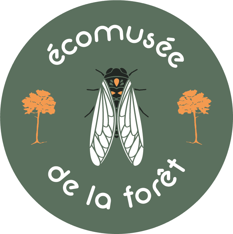 Ecomusée_Gardanne