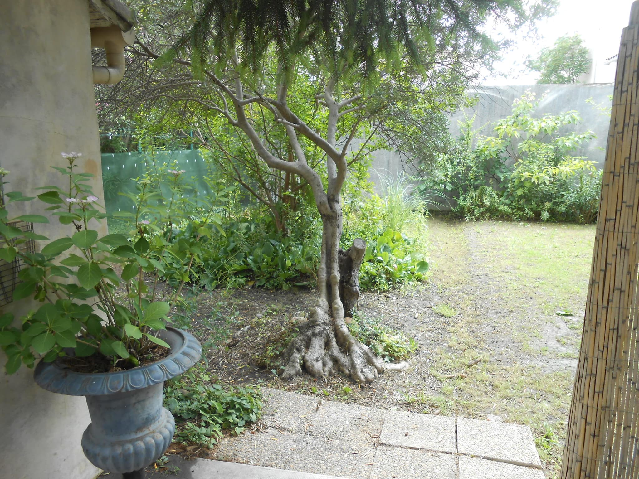 Vue sur une partie du jardin