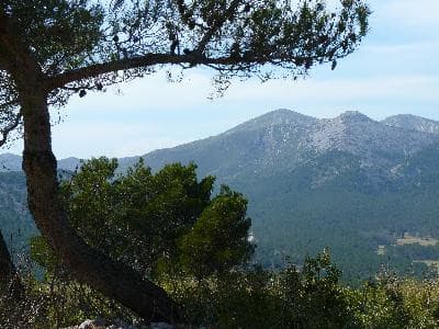 13VIS001063_3_WEB.jpg
