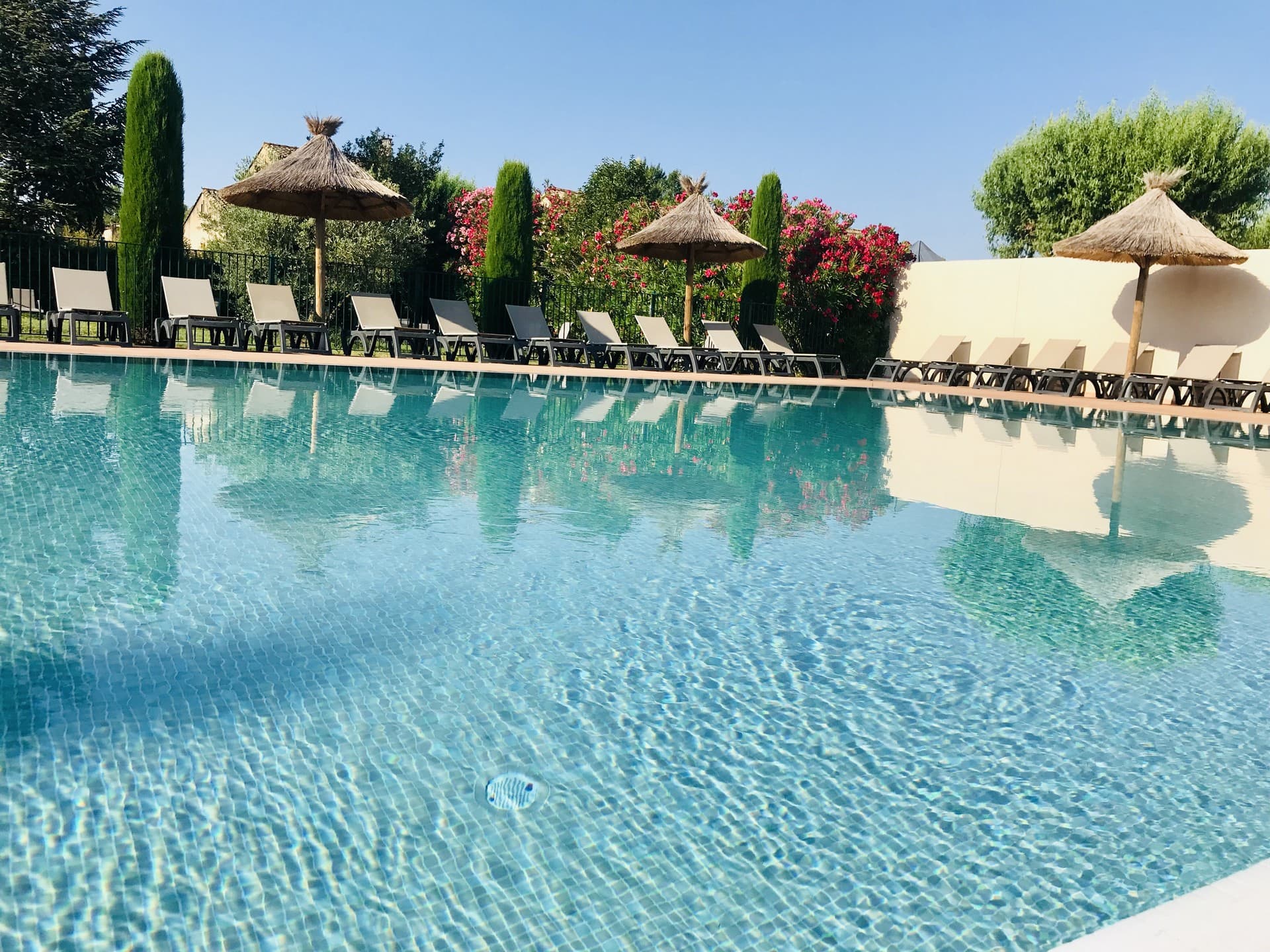 Camping Monplaisir pisicne