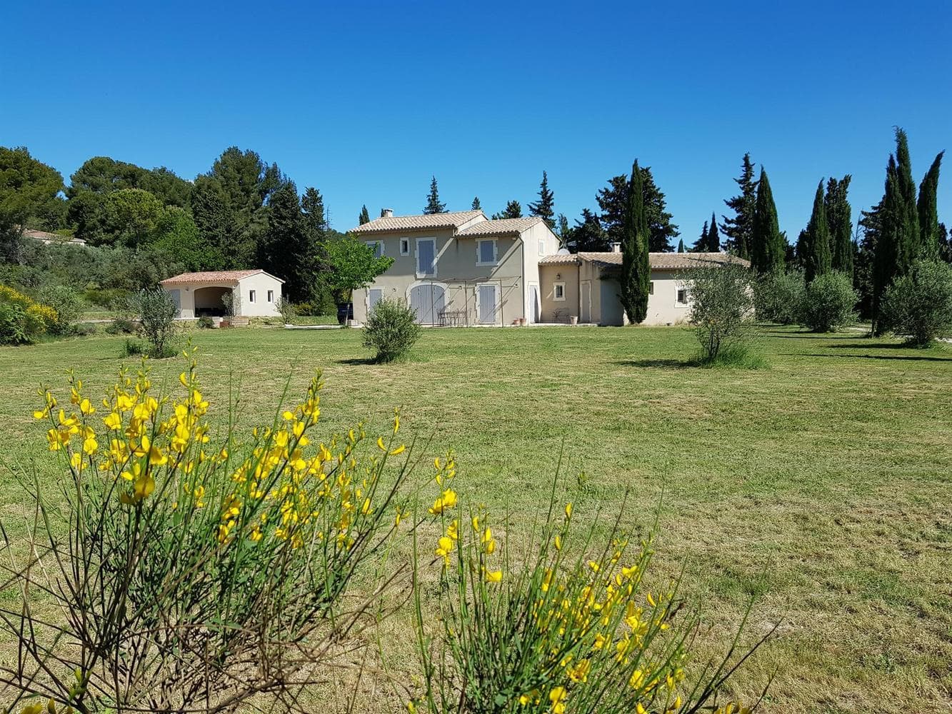 La Coccinelle d'Emilie