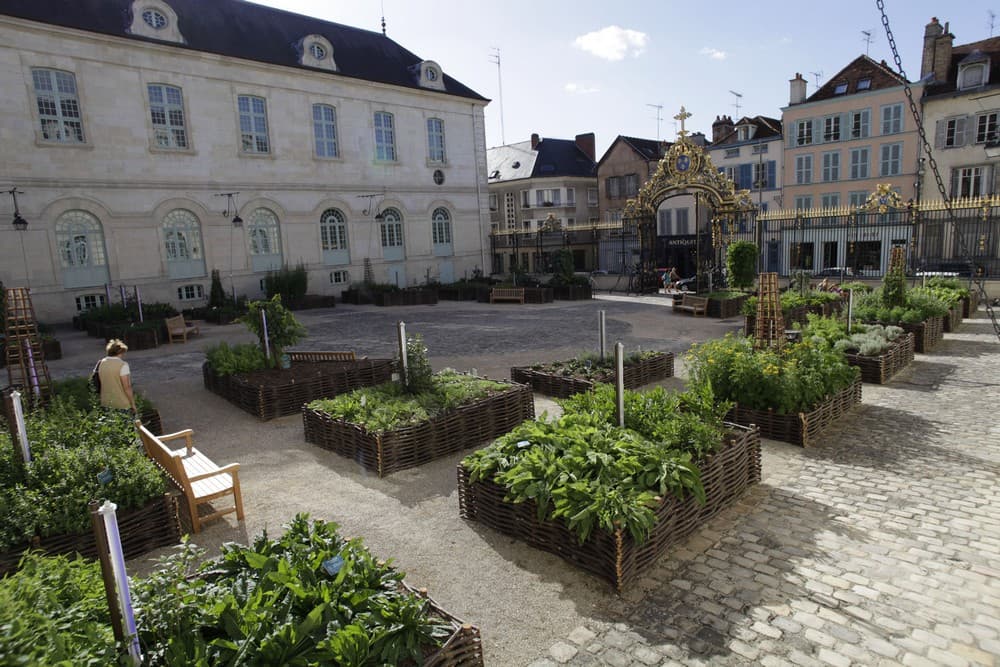 JARDIN MED HOTEL DIEU02.JPG