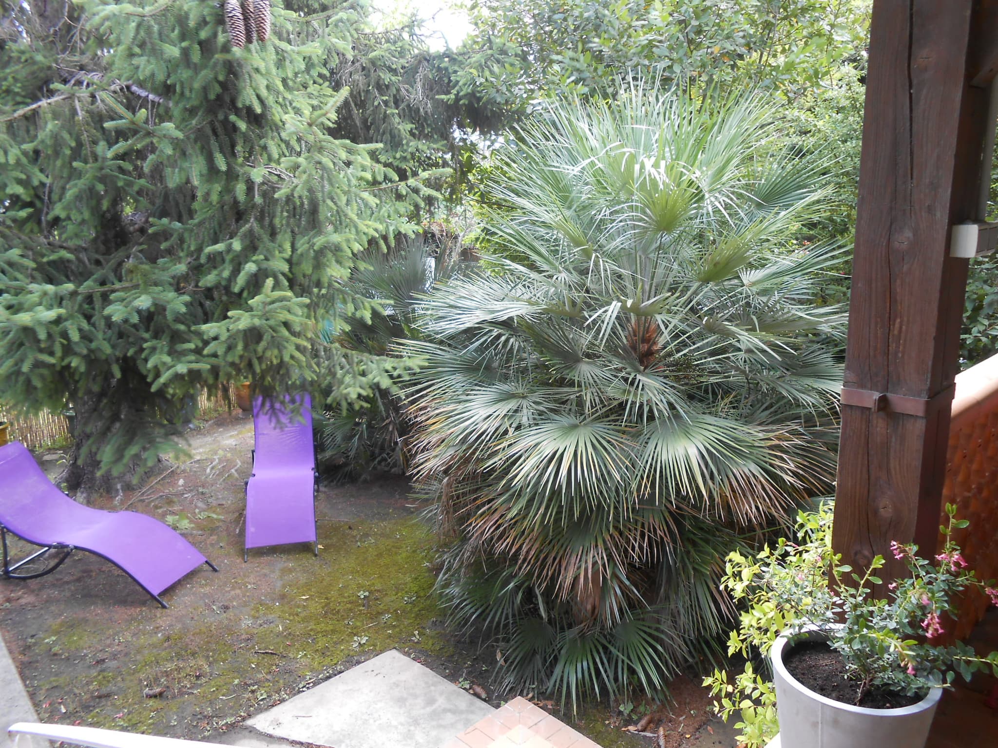 Autre vue sur le jardin
