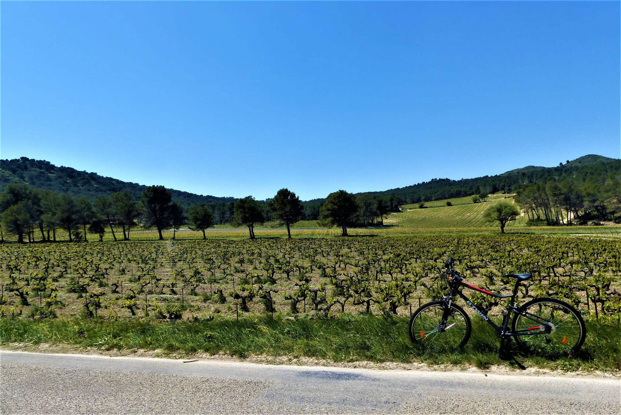 MOURIÈS - Alpilles-Roquemartine à vélo : l'intégrale