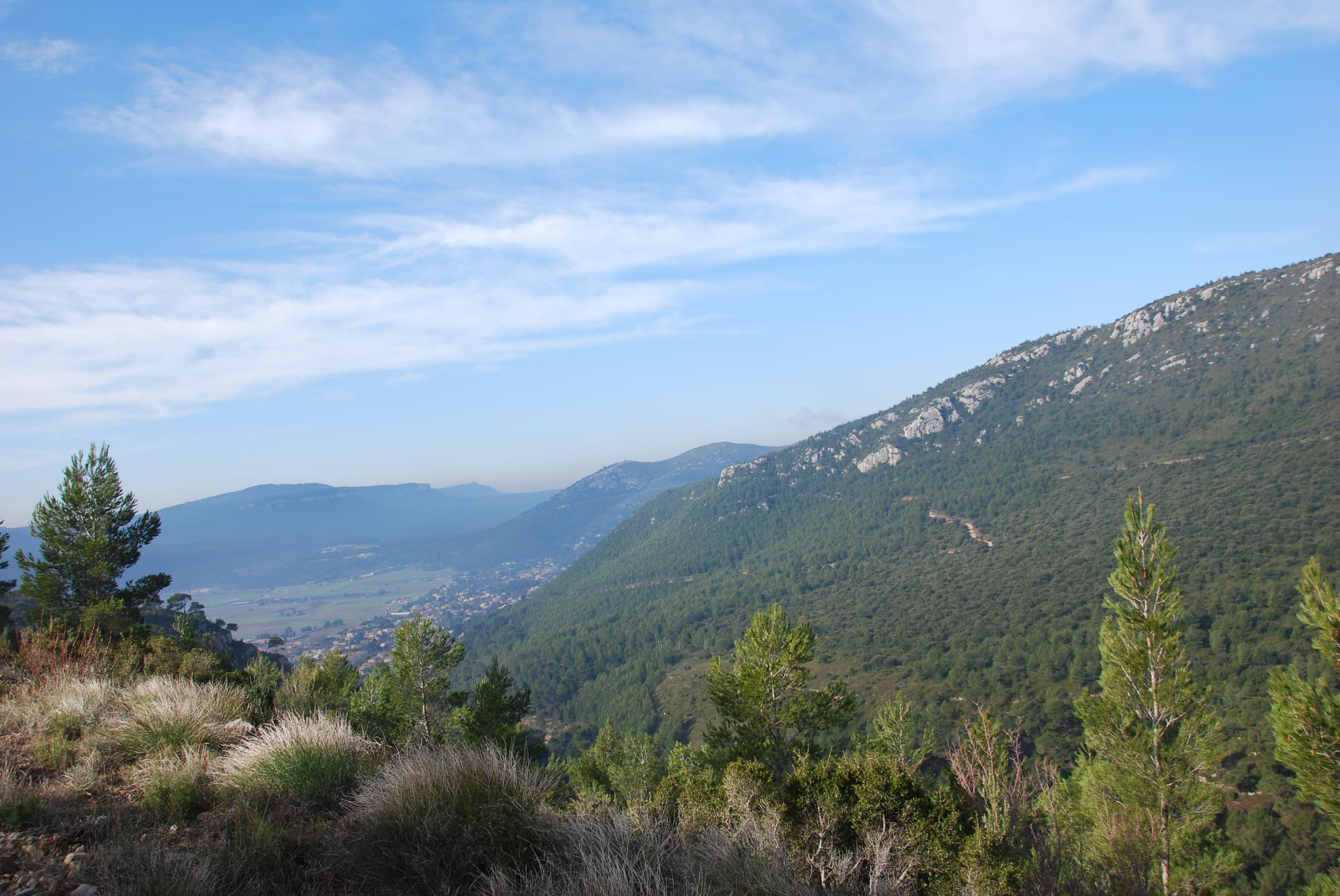 La crête de la Sainte-Baume