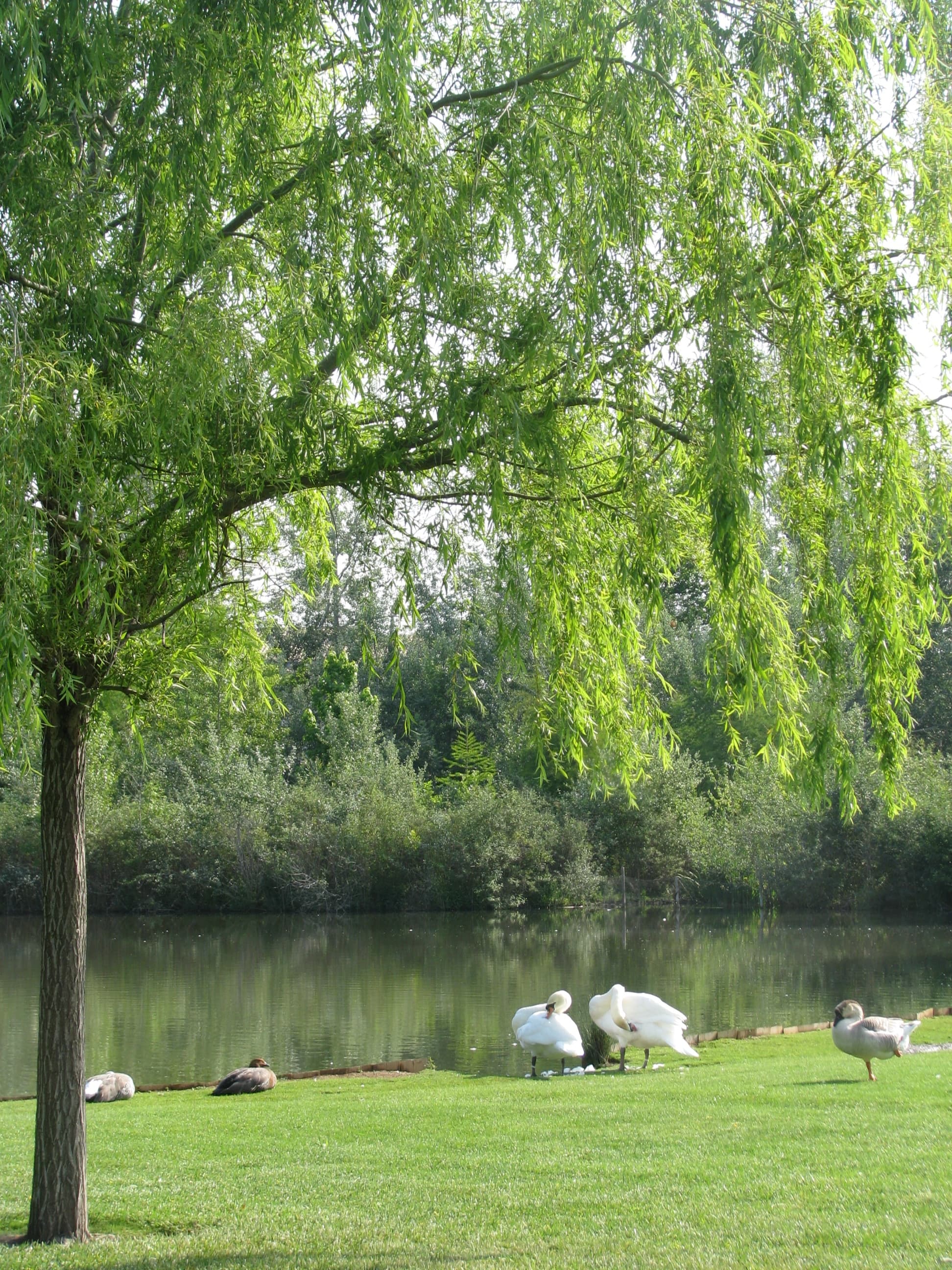 L'arboretum Le jardin de Gaston