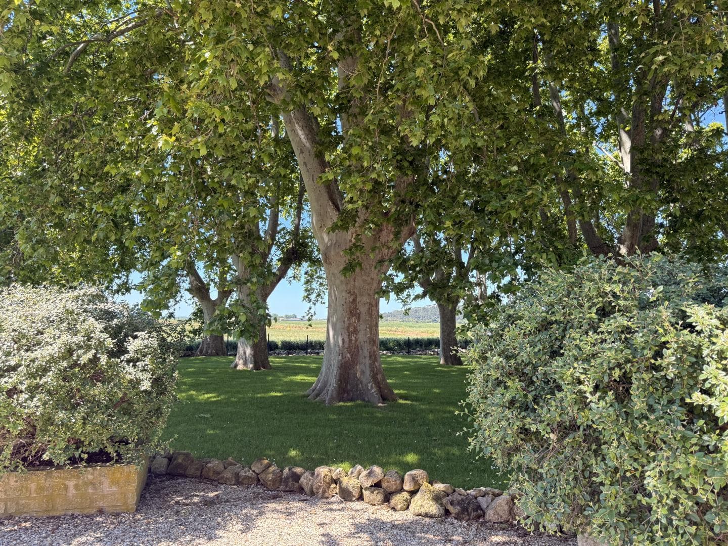 Le Gite Romarin