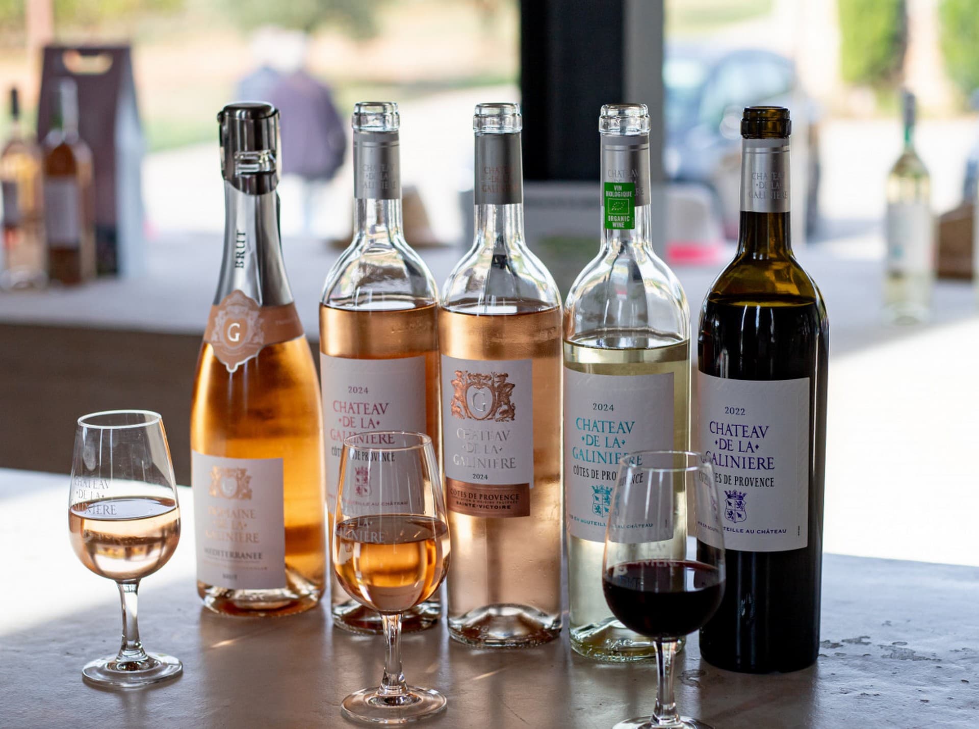 Château de la Galinière - Immersion vignes et vins_Châteauneuf-le-Rouge