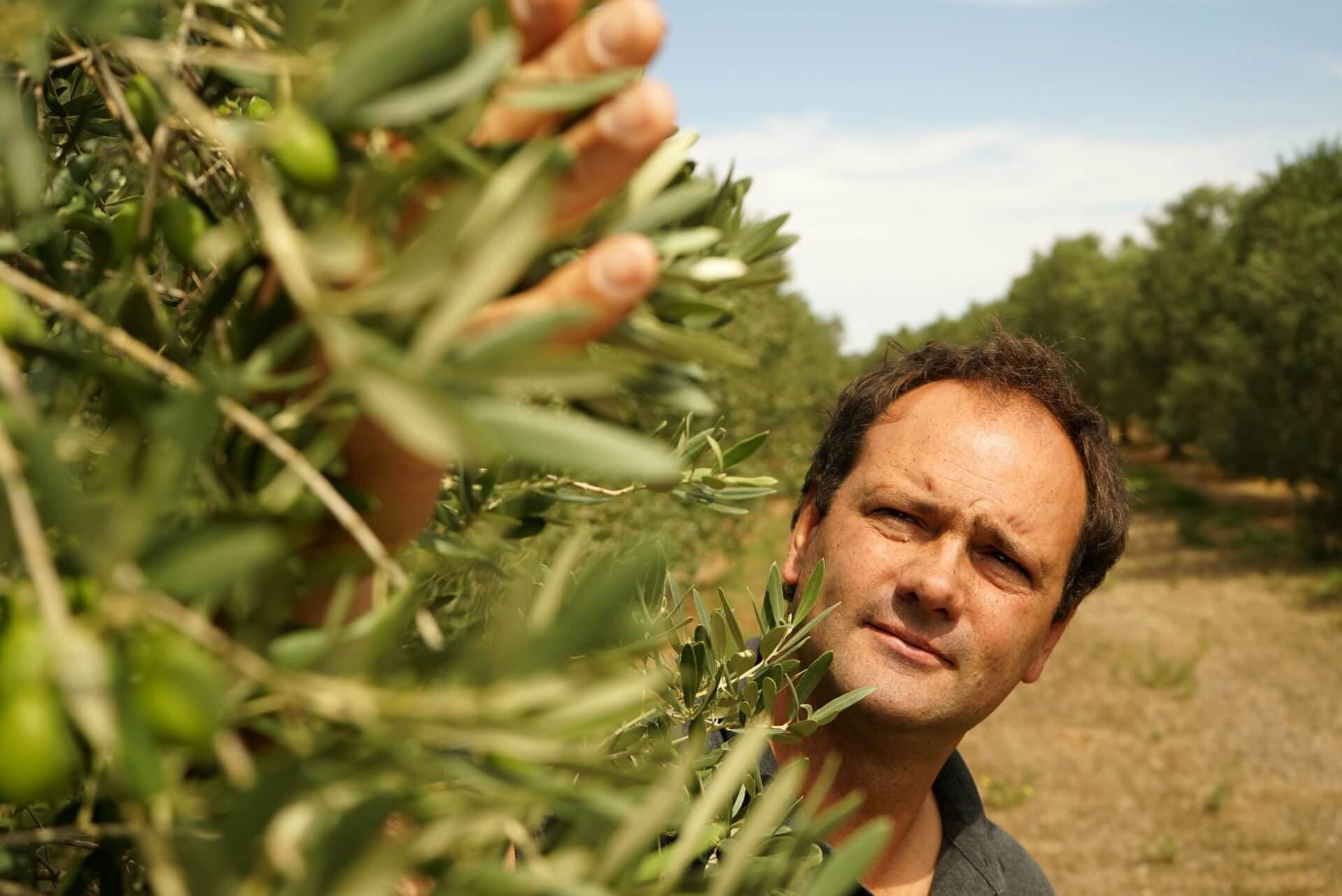 La Lieutenante - Huiles et Amandes_Saint-Martin-de-Crau