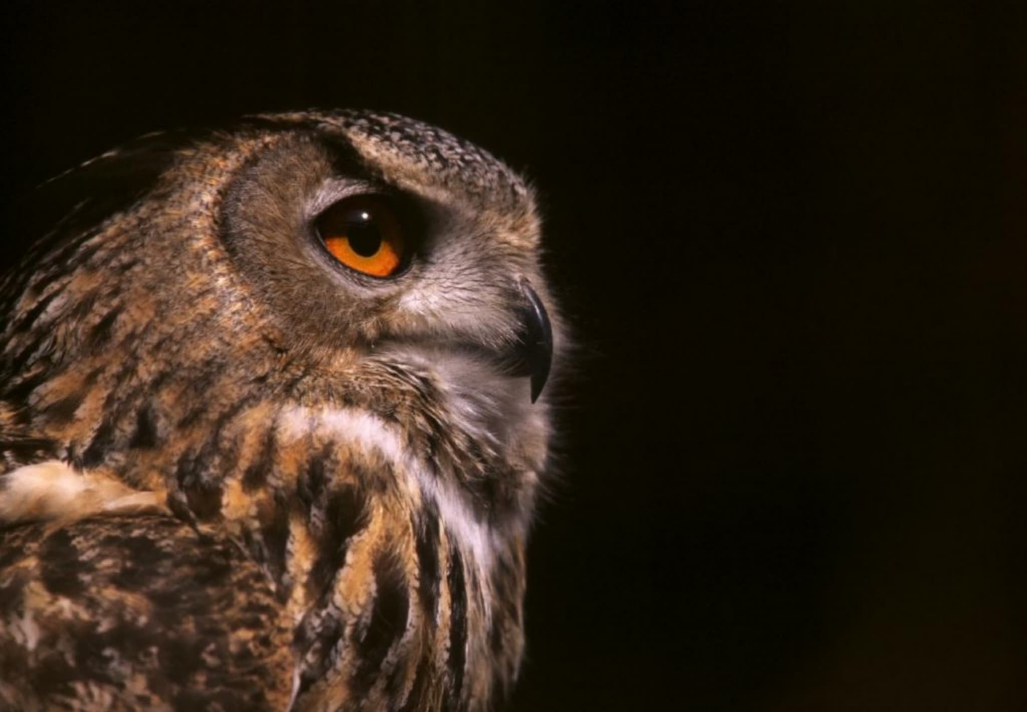 Bureau des guides naturalistes