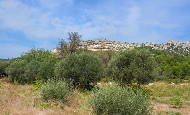 De la Crau aux Alpilles