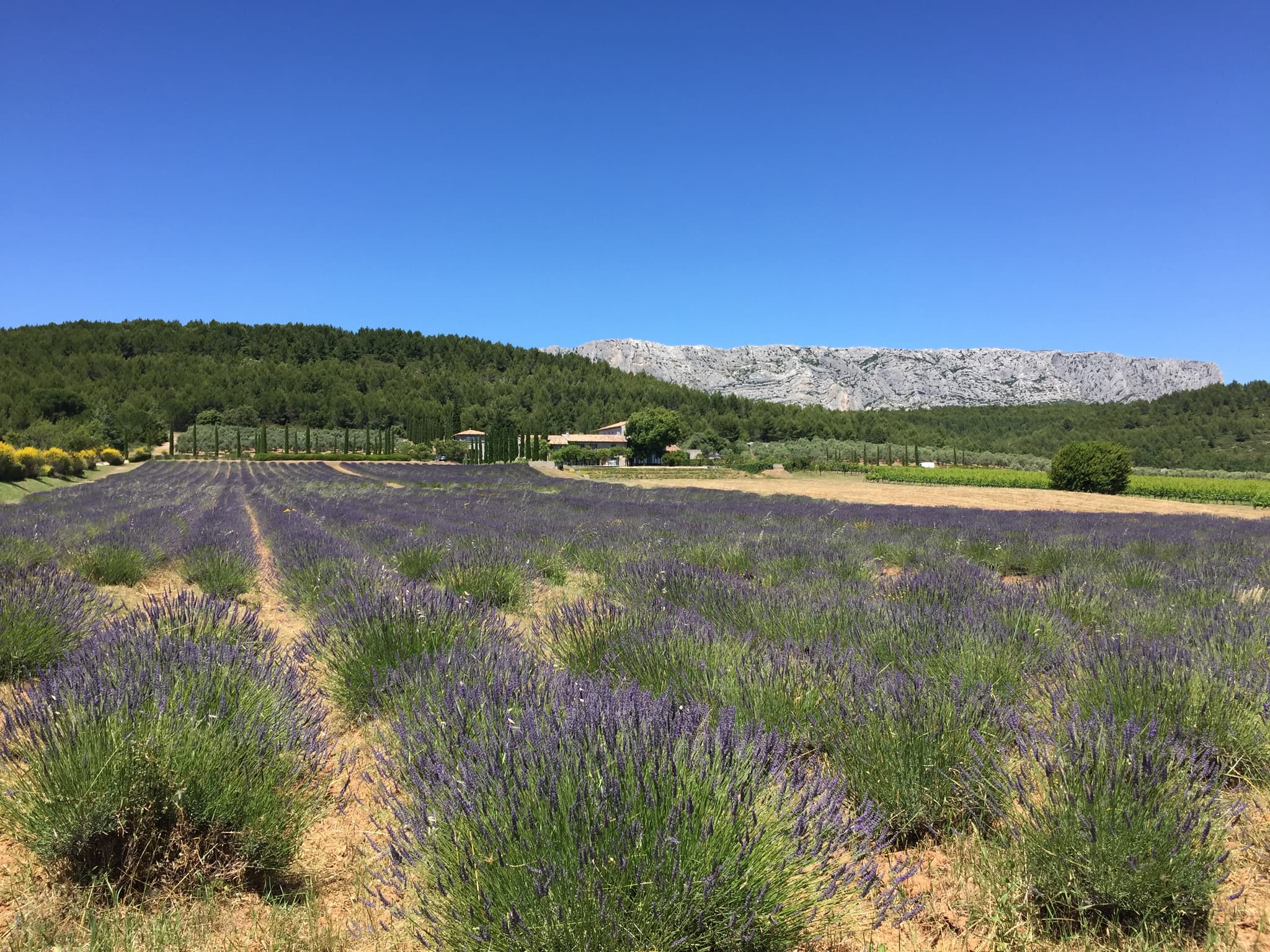 Domaine des Masques
