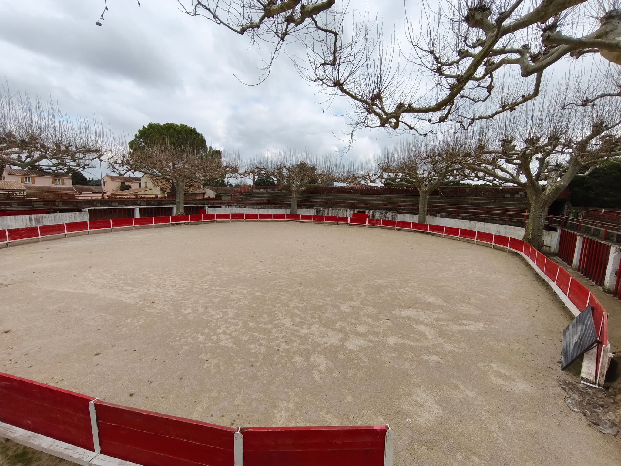 Arènes Francis Chaine - Paluds de Noves_Noves