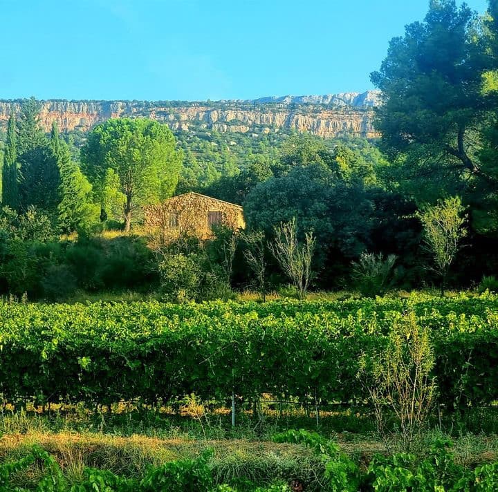 Cave de Rousset