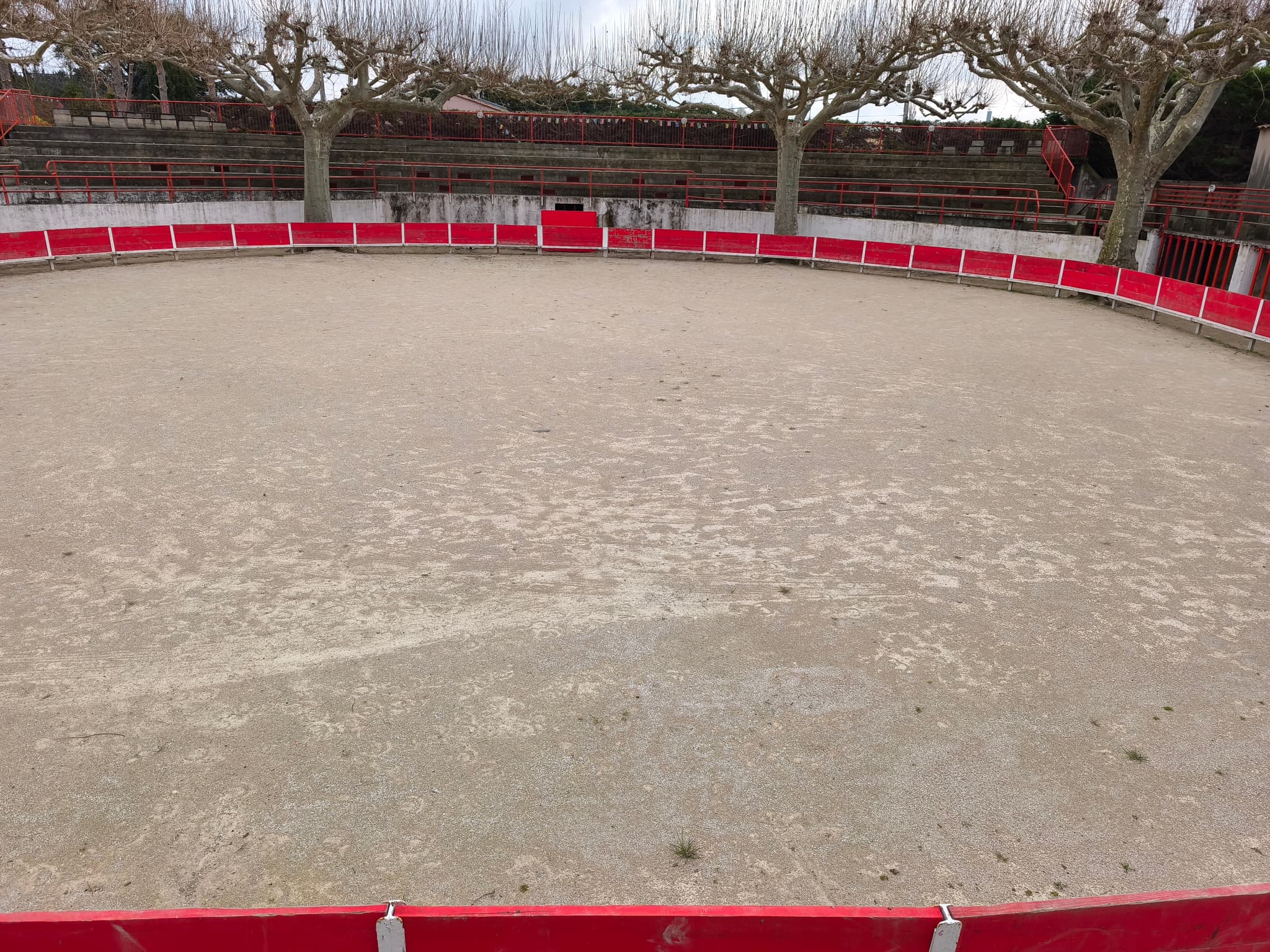 Arènes Francis Chaine - Paluds de Noves_Noves