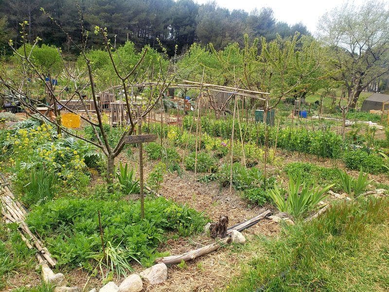 ECOLIEU des Espillieres