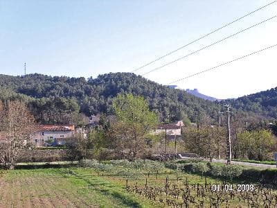 13T1036120_10_WEB.jpg