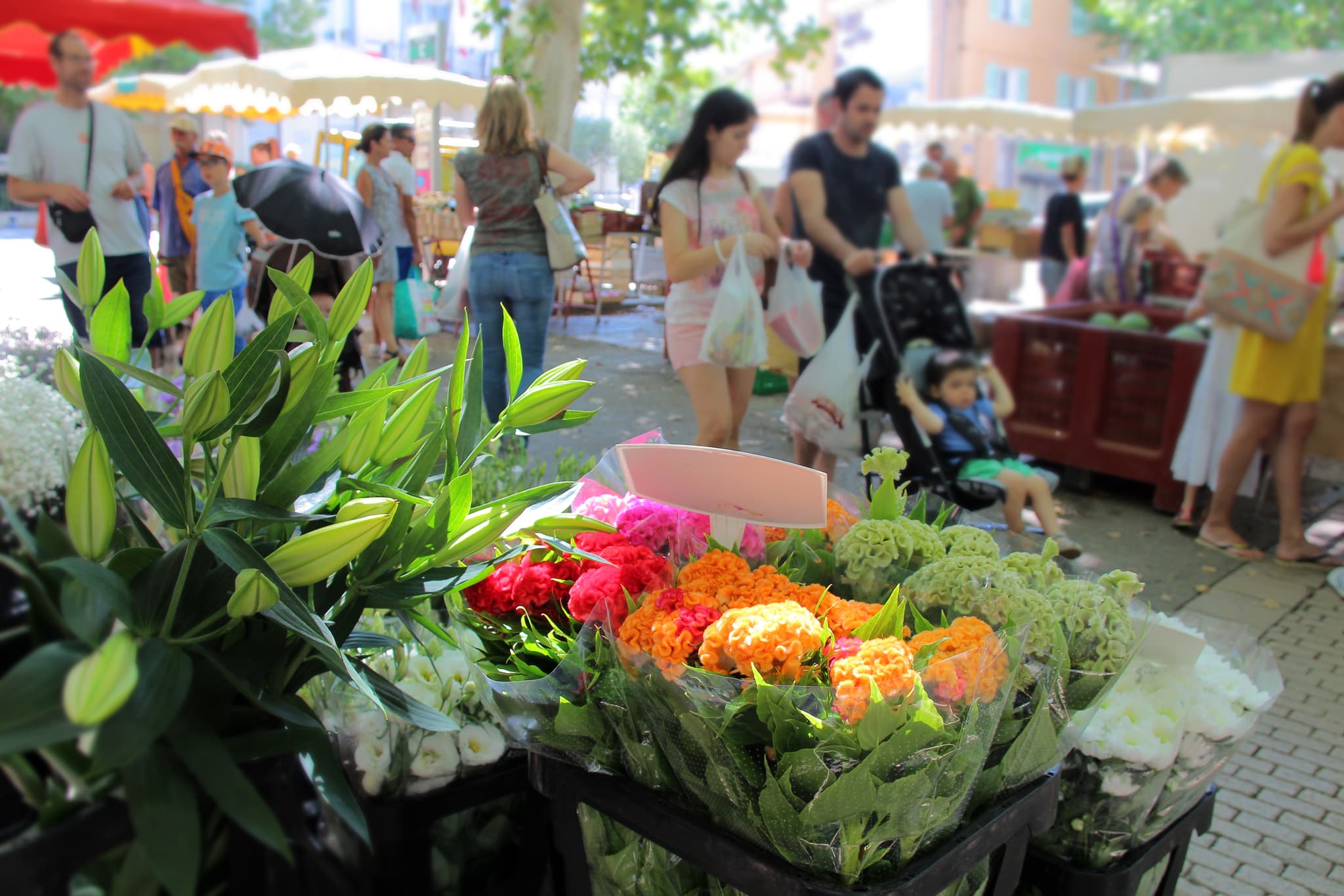 Marché d'Auriol
