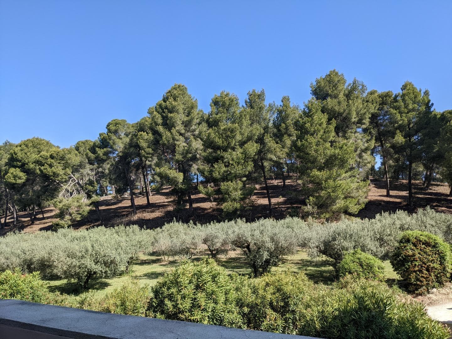 Le Mas Saint Roman - La Berrugueto