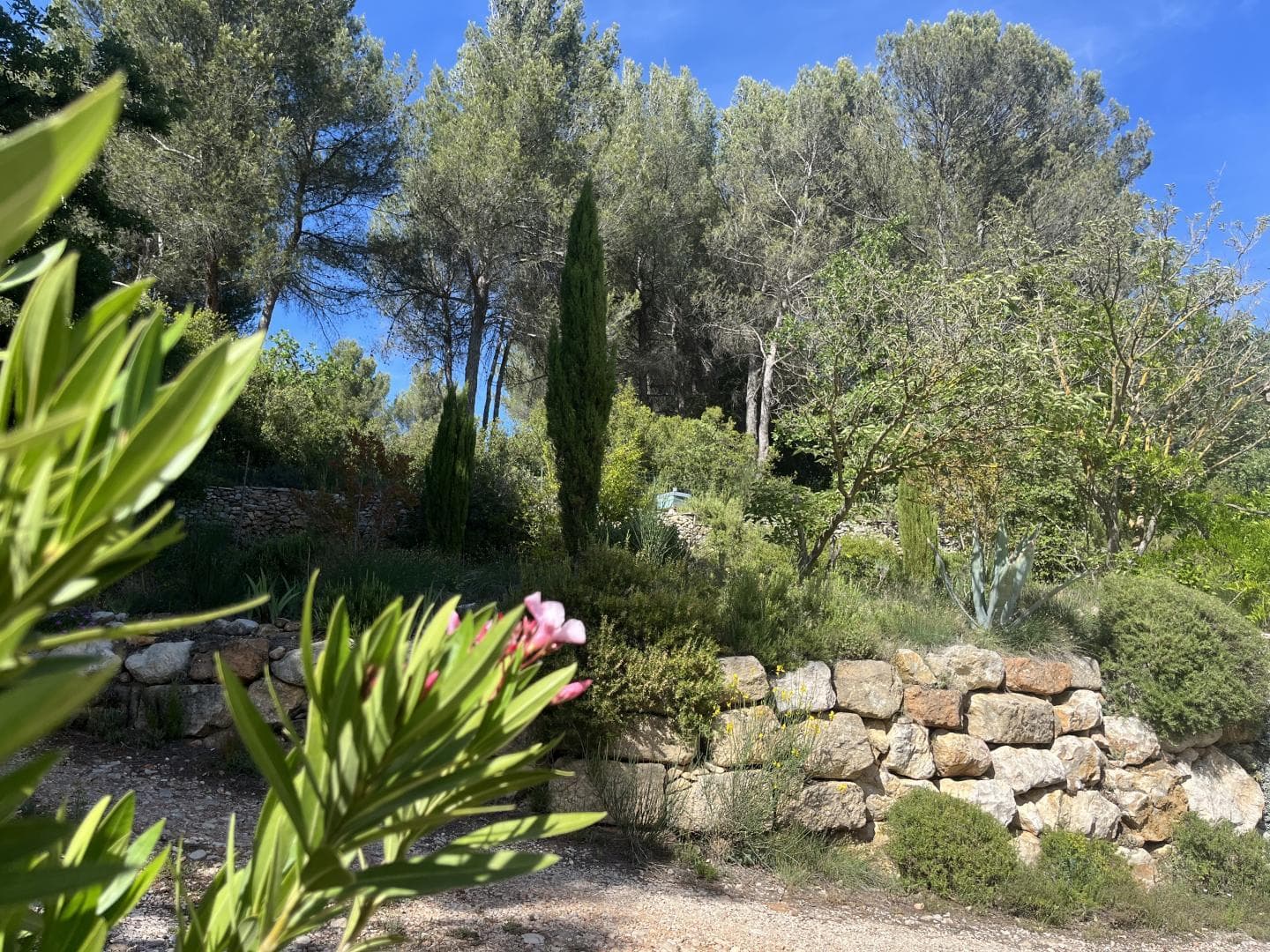 Villa Millettia