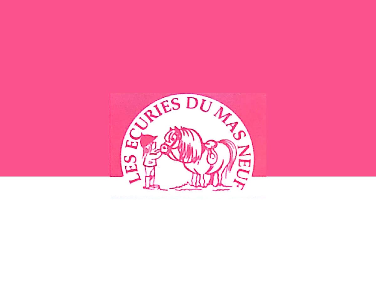 Logo Mas Neuf