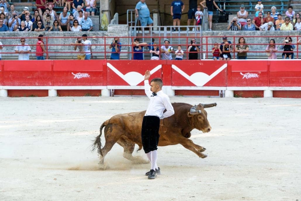 Spectacle des Recortadores_Saintes-Maries-de-la-Mer