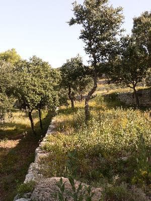 Salon de Provence : Le sentier de la Pastorale