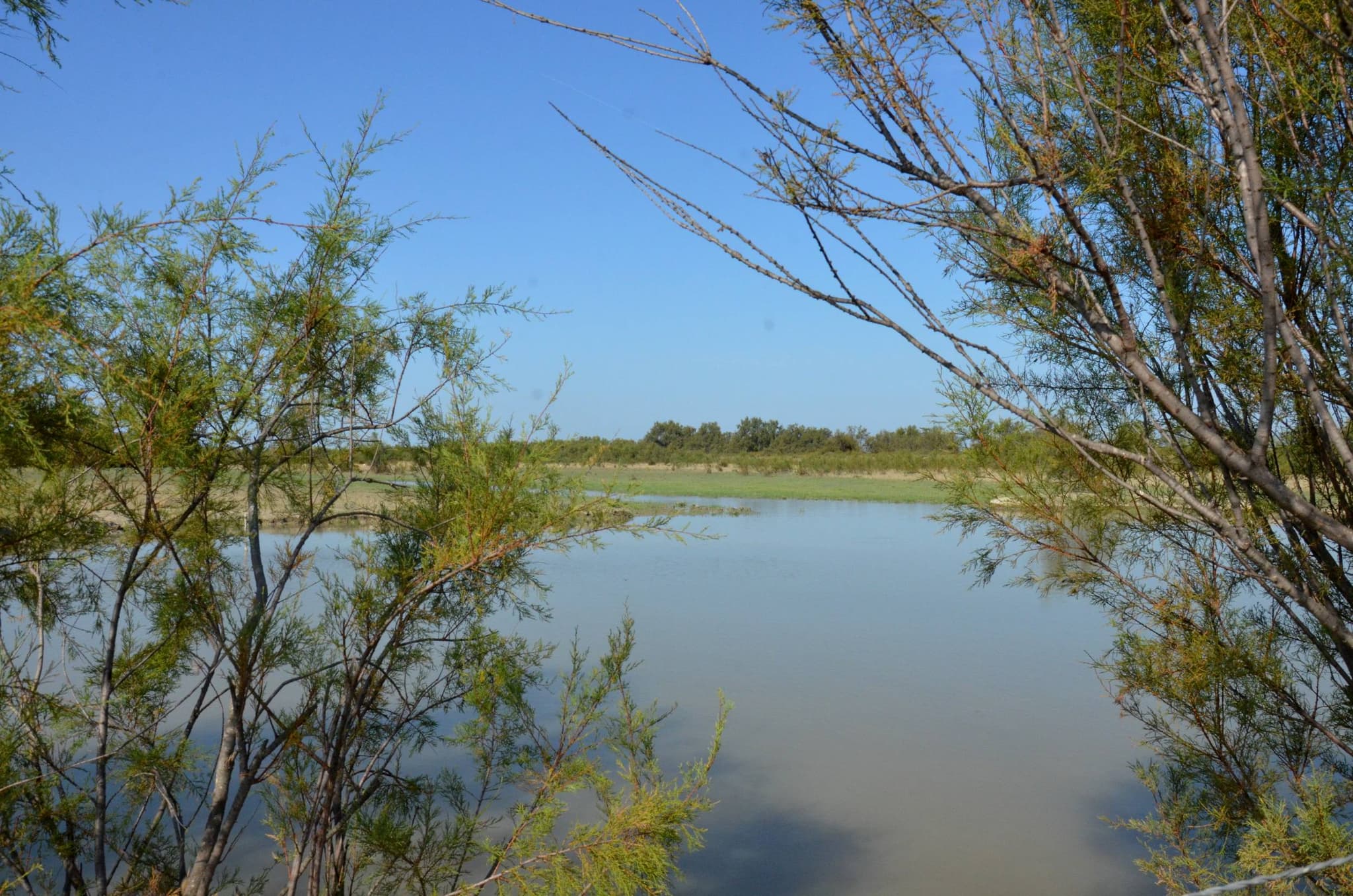 ARLES - Au cœur des marais du Verdier