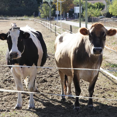 Ferme pédagogique des Pennes Mirabeau