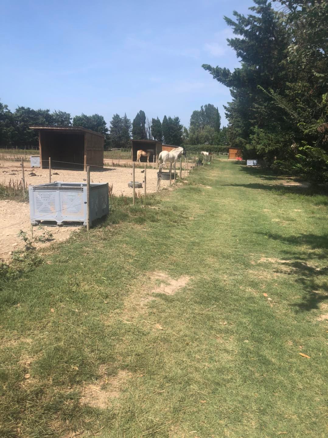 Les Ecuries de Maillane