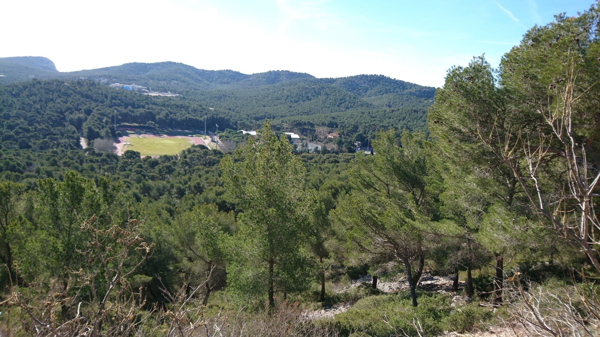 Domaine de Luminy