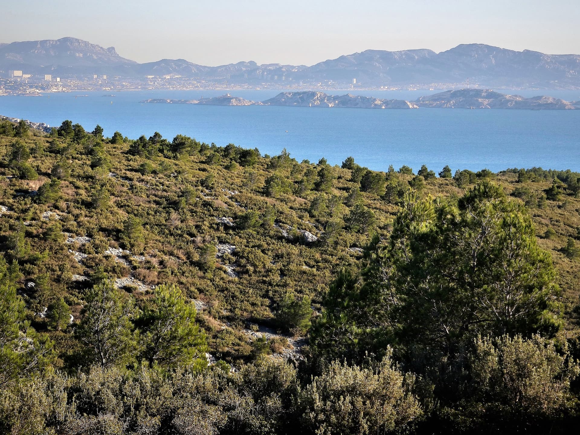 13VIS003221_2_HD.jpg