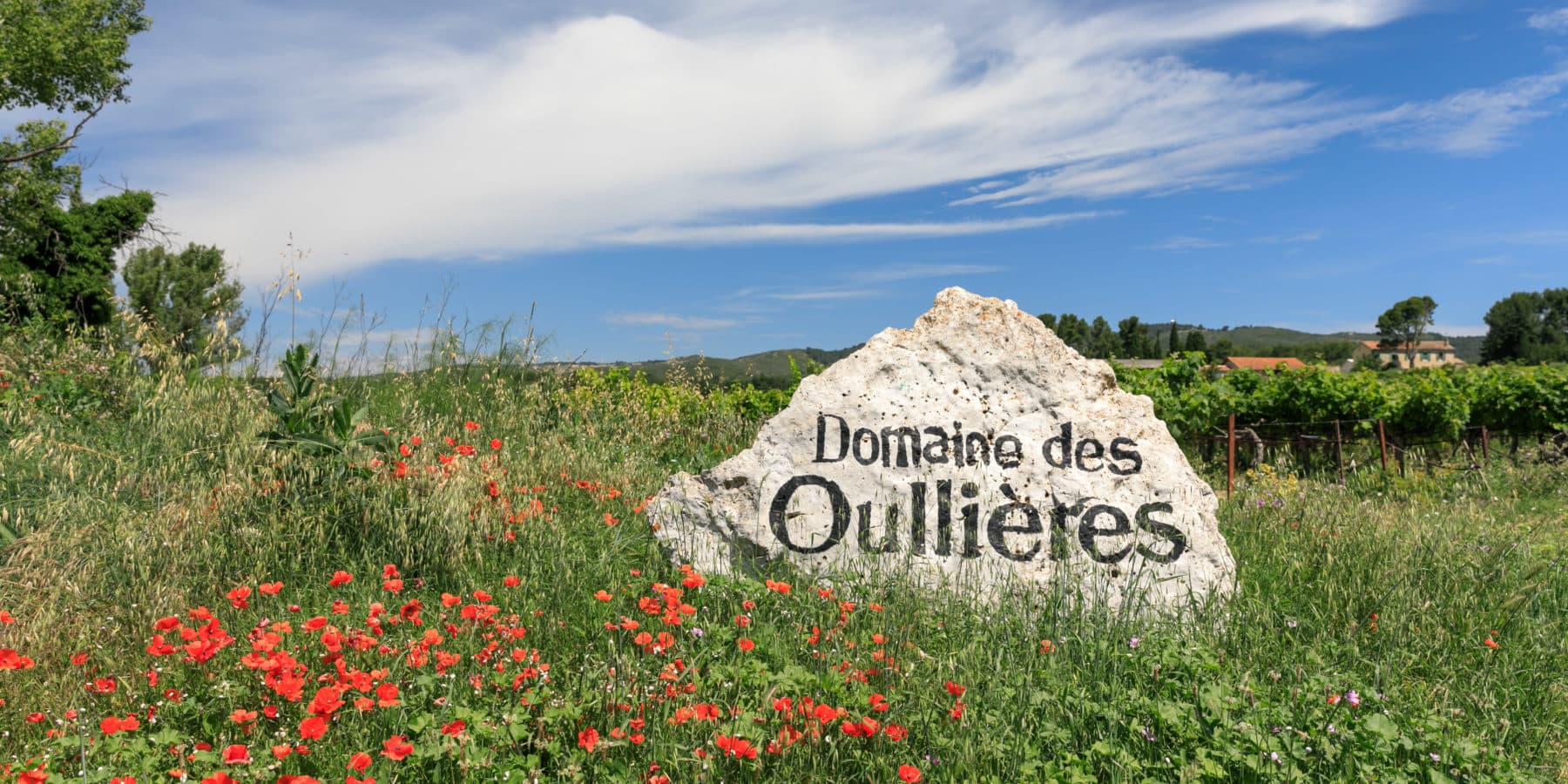 Domaine des Oullières