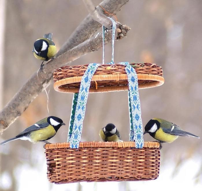 La Maison des Oiseaux