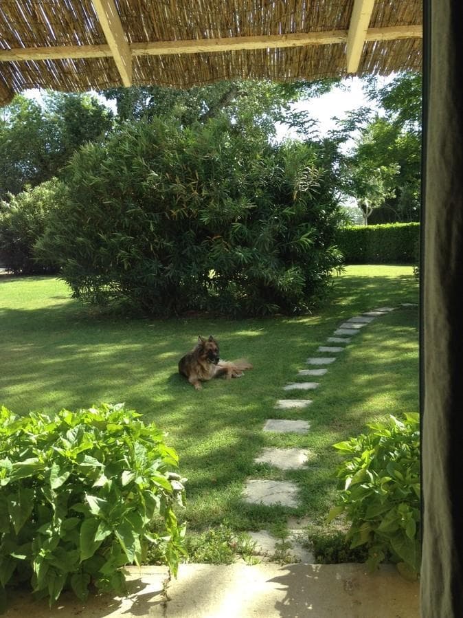 Le Pigeonnier