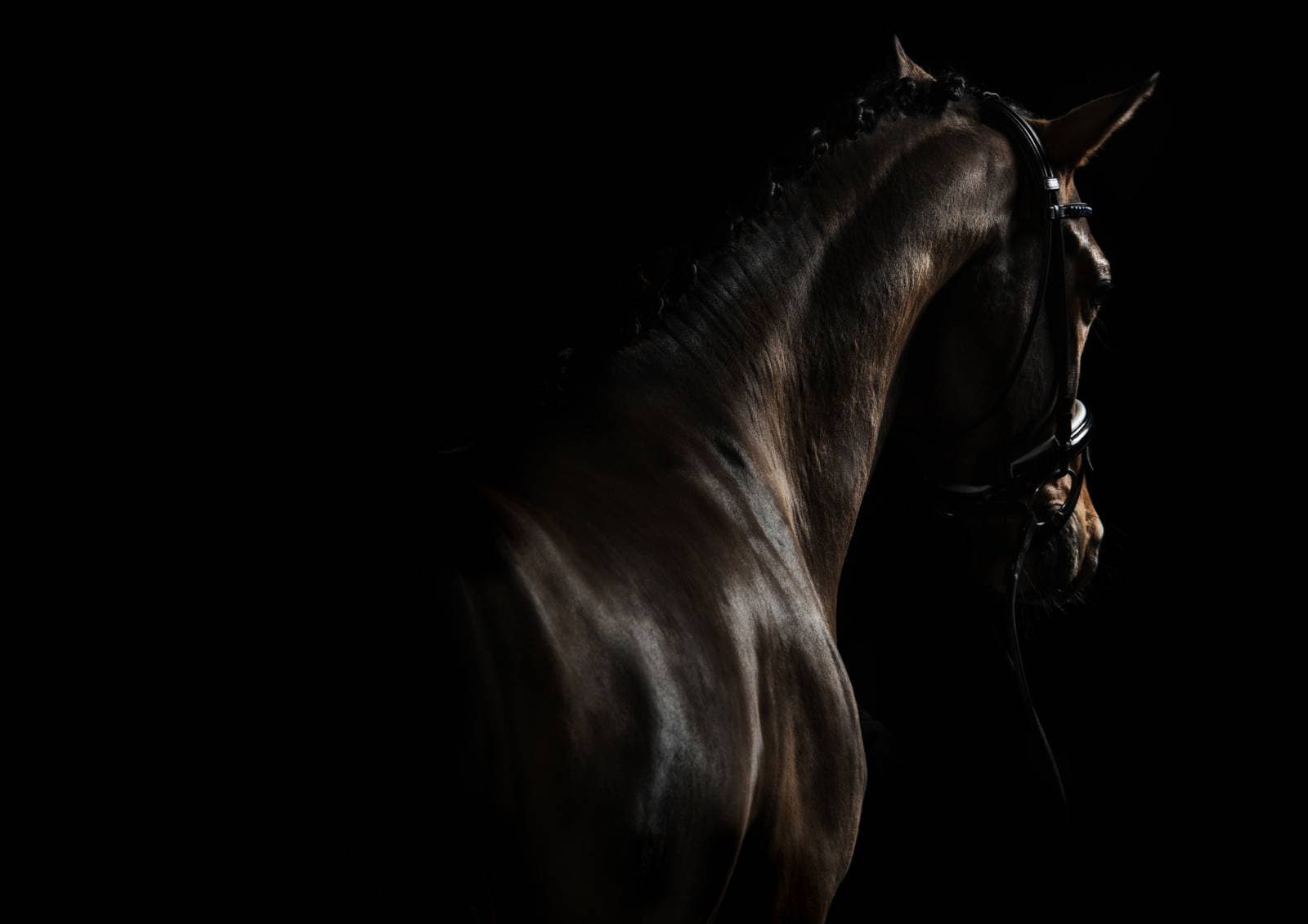 Cheval