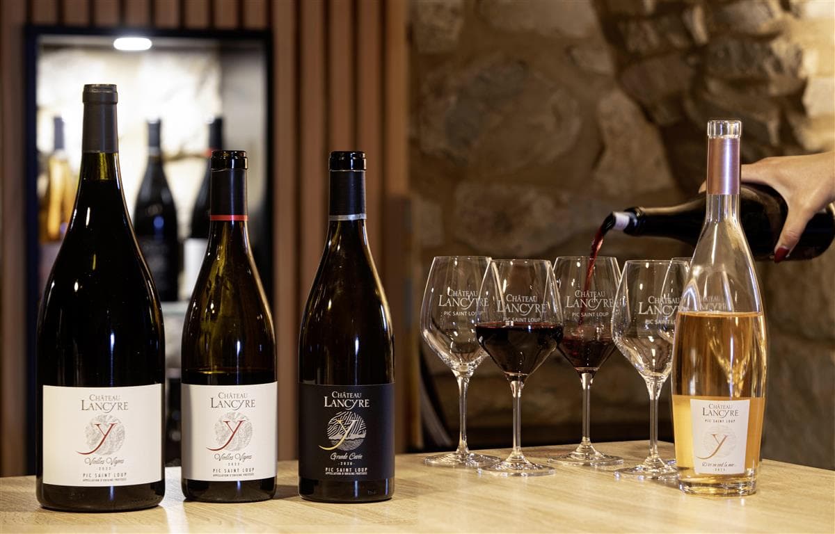 Dégustation des cuvées et service - Château Lancyre