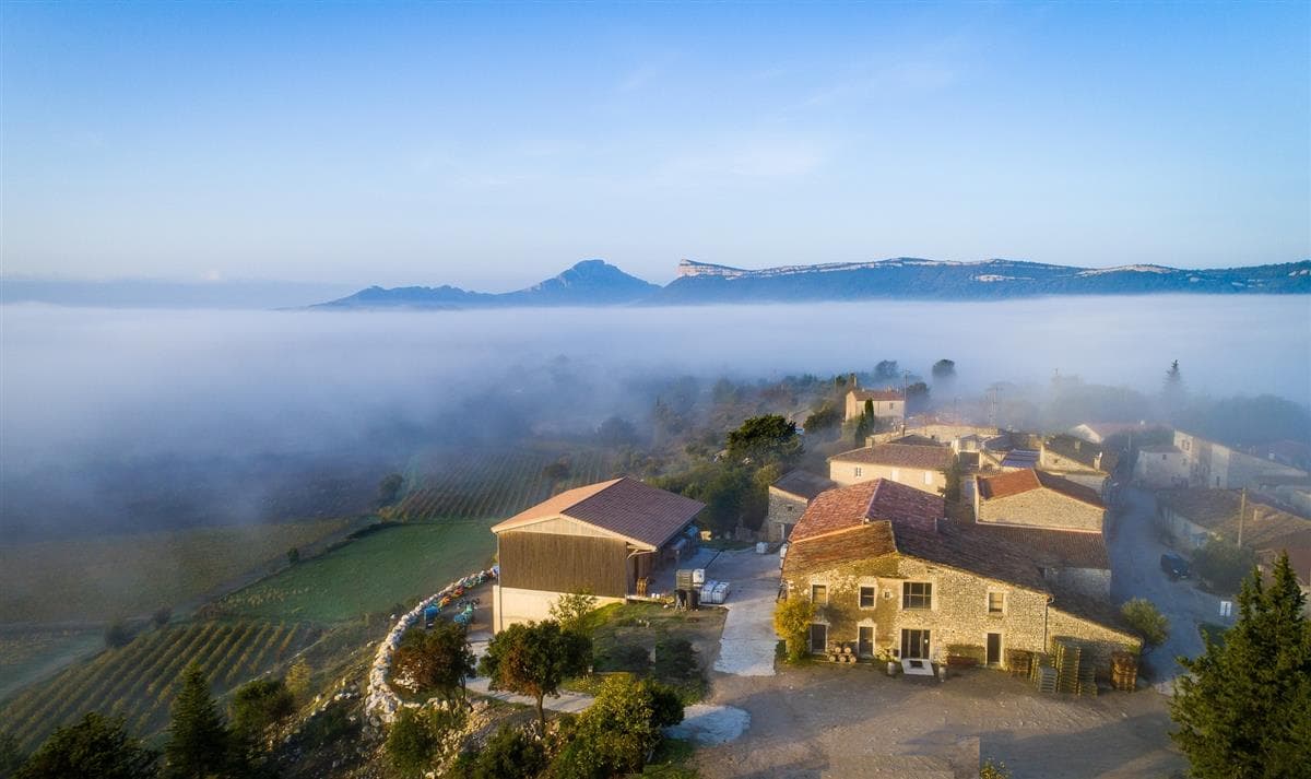 Dégustation sous les voutes de notre caveau - Château Lancyre